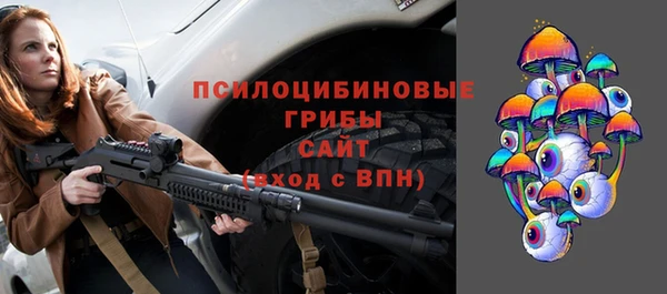 соль ск Пересвет