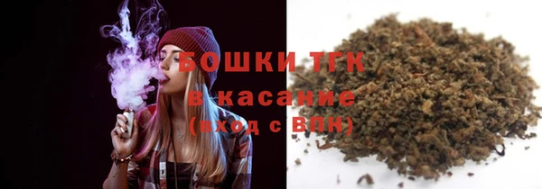 соль ск Пересвет
