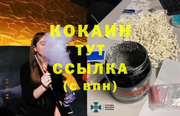 соль ск Пересвет