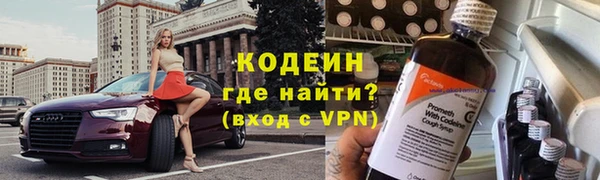 соль ск Пересвет